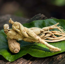 Panax Ginseng Extract Glyco Harmony™ ingredient